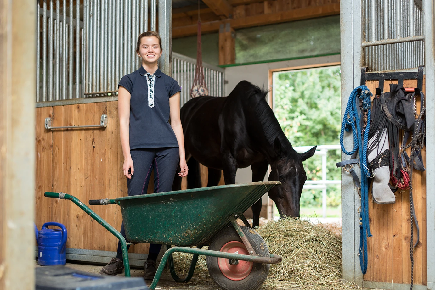 Ophaling en transport van paardenmest