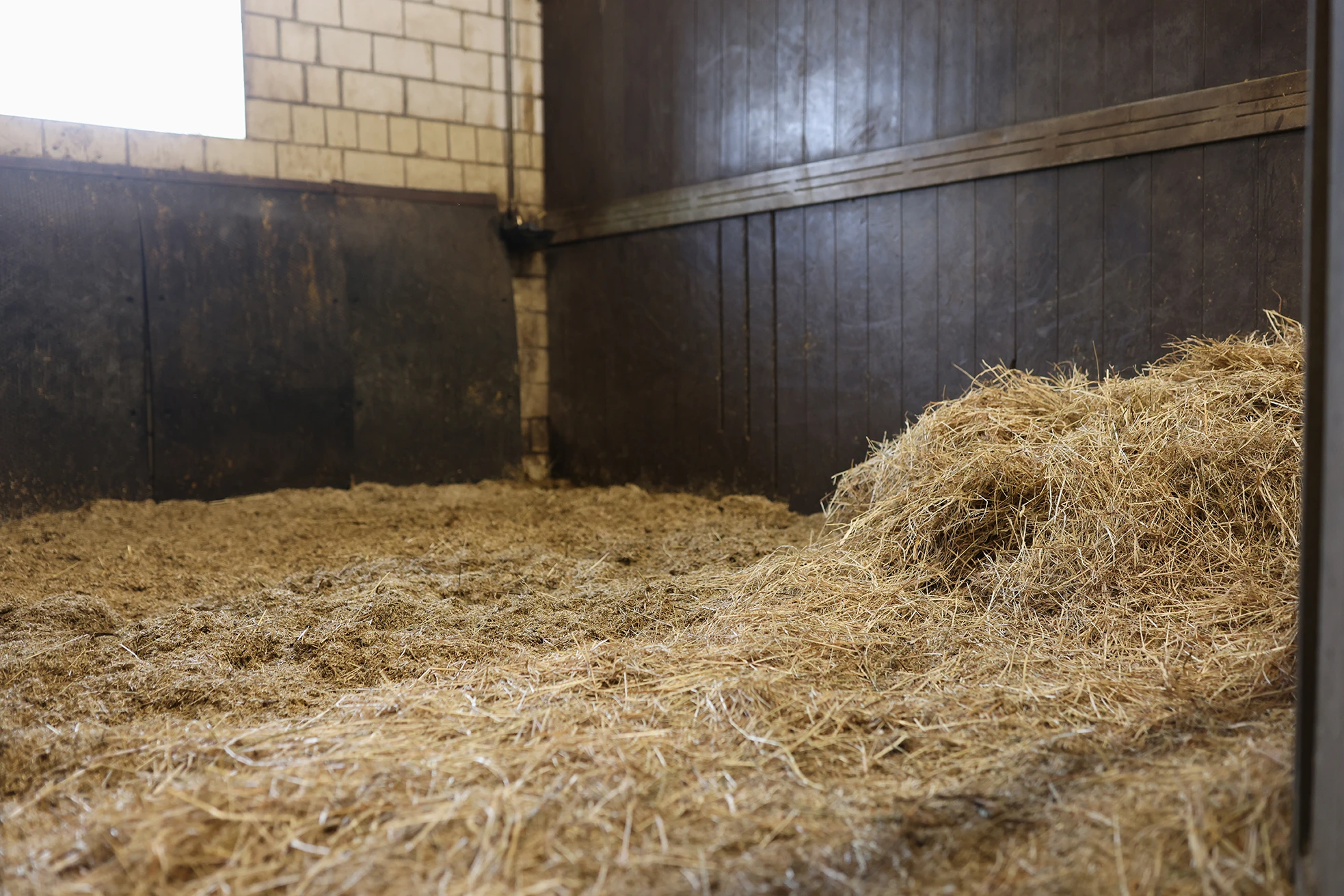 Ophaling en transport van paardenmest